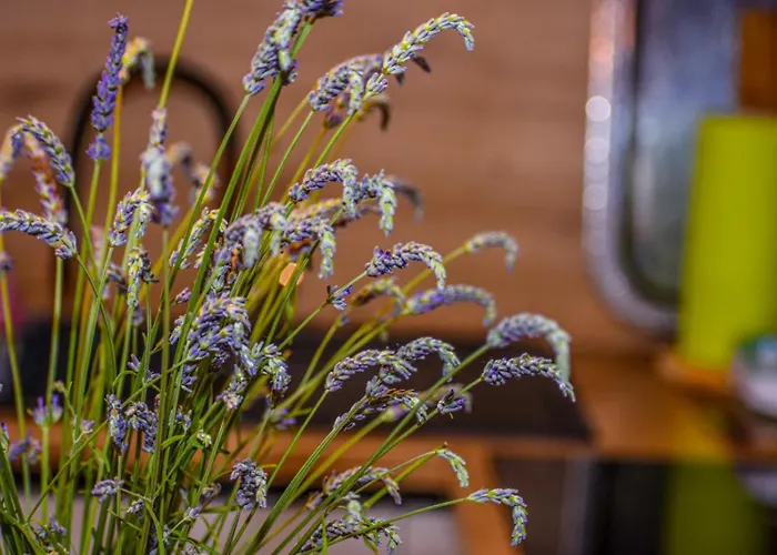 T E A Pag With Hot Tub Apartment *