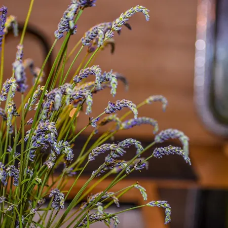 T E A Pag With Hot Tub Apartamento *